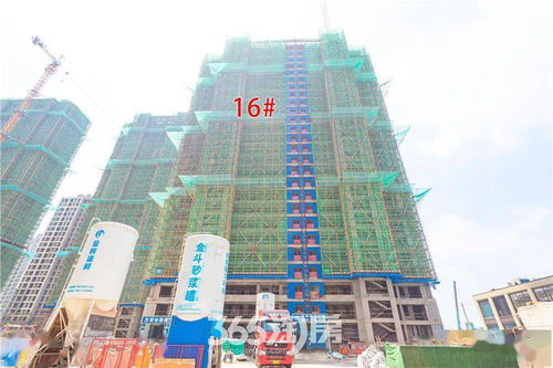 蕪湖買(mǎi)房業(yè)主請(qǐng)注意,部分熱門(mén)樓盤(pán)最新工程進(jìn)度曝光,你家建成什么樣了